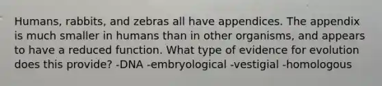 Humans, rabbits, and zebras all have appendices. The appendix is much smaller in humans than in other organisms, and appears to have a reduced function. What type of <a href='https://www.questionai.com/knowledge/kl4L0eHhUT-evidence-for-evolution' class='anchor-knowledge'>evidence for evolution</a> does this provide? -DNA -embryological -vestigial -homologous