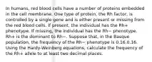 In humans, red blood cells have a number of proteins embedded in the cell membrane. One type of protein, the Rh factor, is controlled by a single gene and is either present or missing from the red blood cells. If present, the individual has the Rh+ phenotype. If missing, the individual has the Rh− phenotype. Rh+ is the dominant to Rh−. Suppose that, in the Basque population, the frequency of the Rh− phenotype is 0.16.0.16. Using the Hardy-Weinberg equations, calculate the frequency of the Rh+ allele to at least two decimal places.