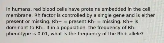 In humans, red blood cells have proteins embedded in the cell membrane. Rh factor is controlled by a single gene and is either present or missing. Rh+ = present Rh- = missing. Rh+ is dominant to Rh-. If in a population, the frequency of Rh- phenotype is 0.01, what is the frequency of the Rh+ allele?