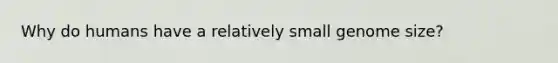 Why do humans have a relatively small genome size?