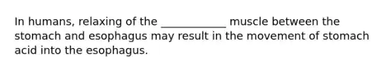 In humans, relaxing of the ____________ muscle between the stomach and esophagus may result in the movement of stomach acid into the esophagus.