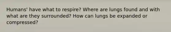 Humans' have what to respire? Where are lungs found and with what are they surrounded? How can lungs be expanded or compressed?