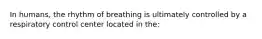 In humans, the rhythm of breathing is ultimately controlled by a respiratory control center located in the: