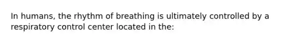 In humans, the rhythm of breathing is ultimately controlled by a respiratory control center located in the: