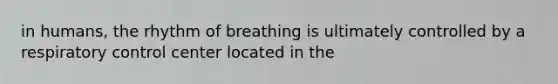 in humans, the rhythm of breathing is ultimately controlled by a respiratory control center located in the