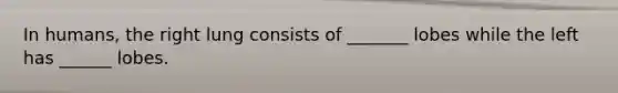 In humans, the right lung consists of _______ lobes while the left has ______ lobes.