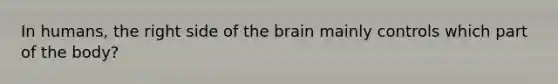 In humans, the right side of the brain mainly controls which part of the body?