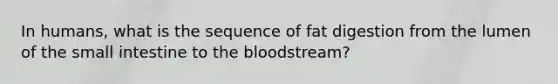 In humans, what is the sequence of fat digestion from the lumen of <a href='https://www.questionai.com/knowledge/kt623fh5xn-the-small-intestine' class='anchor-knowledge'>the small intestine</a> to <a href='https://www.questionai.com/knowledge/k7oXMfj7lk-the-blood' class='anchor-knowledge'>the blood</a>stream?