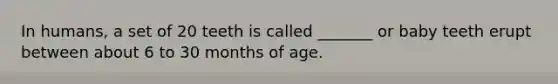 In humans, a set of 20 teeth is called _______ or baby teeth erupt between about 6 to 30 months of age.