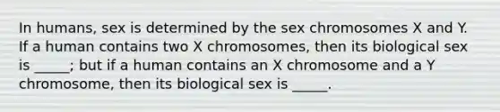 In humans, sex is determined by the sex chromosomes X and Y. If a human contains two X chromosomes, then its biological sex is _____; but if a human contains an X chromosome and a Y chromosome, then its biological sex is _____.