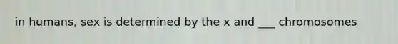 in humans, sex is determined by the x and ___ chromosomes