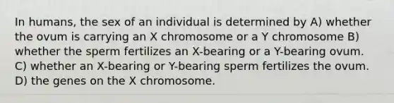 In humans, the sex of an individual is determined by A) whether the ovum is carrying an X chromosome or a Y chromosome B) whether the sperm fertilizes an X-bearing or a Y-bearing ovum. C) whether an X-bearing or Y-bearing sperm fertilizes the ovum. D) the genes on the X chromosome.