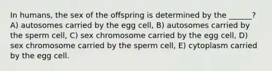 In humans, the sex of the offspring is determined by the ______? A) autosomes carried by the egg cell, B) autosomes carried by the sperm cell, C) sex chromosome carried by the egg cell, D) sex chromosome carried by the sperm cell, E) cytoplasm carried by the egg cell.