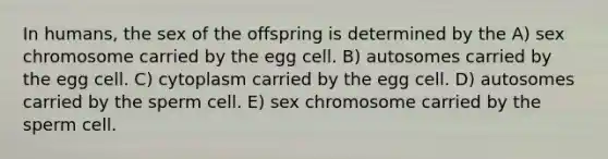 In humans, the sex of the offspring is determined by the A) sex chromosome carried by the egg cell. B) autosomes carried by the egg cell. C) cytoplasm carried by the egg cell. D) autosomes carried by the sperm cell. E) sex chromosome carried by the sperm cell.