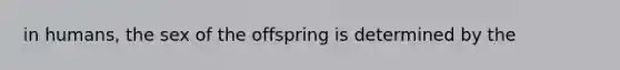 in humans, the sex of the offspring is determined by the