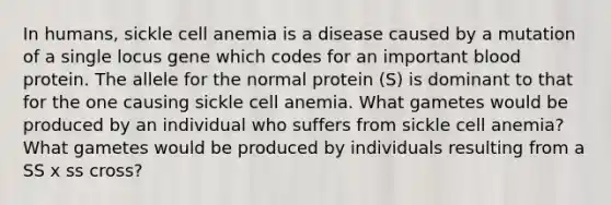 In humans, sickle cell anemia is a disease caused by a mutation of a single locus gene which codes for an important blood protein. The allele for the normal protein (S) is dominant to that for the one causing sickle cell anemia. What gametes would be produced by an individual who suffers from sickle cell anemia? What gametes would be produced by individuals resulting from a SS x ss cross?