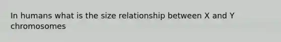 In humans what is the size relationship between X and Y chromosomes