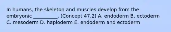 In humans, the skeleton and muscles develop from the embryonic __________. (Concept 47.2) A. endoderm B. ectoderm C. mesoderm D. haploderm E. endoderm and ectoderm