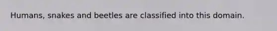 Humans, snakes and beetles are classified into this domain.