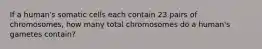 If a human's somatic cells each contain 23 pairs of chromosomes, how many total chromosomes do a human's gametes contain?