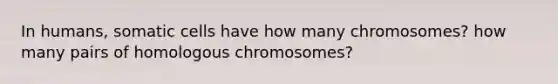 In humans, somatic cells have how many chromosomes? how many pairs of homologous chromosomes?