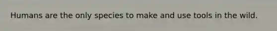 Humans are the only species to make and use tools in the wild.