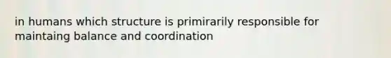 in humans which structure is primirarily responsible for maintaing balance and coordination