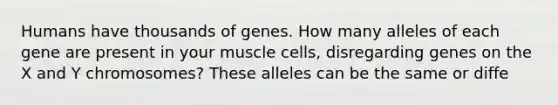 Humans have thousands of genes. How many alleles of each gene are present in your muscle cells, disregarding genes on the X and Y chromosomes? These alleles can be the same or diffe