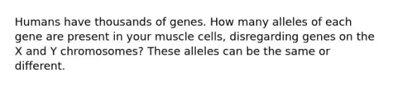 Humans have thousands of genes. How many alleles of each gene are present in your muscle cells, disregarding genes on the X and Y chromosomes? These alleles can be the same or different.