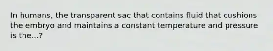 In humans, the transparent sac that contains fluid that cushions the embryo and maintains a constant temperature and pressure is the...?