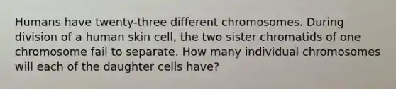 Humans have twenty-three different chromosomes. During division of a human skin cell, the two sister chromatids of one chromosome fail to separate. How many individual chromosomes will each of the daughter cells have?