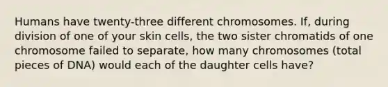 Humans have twenty-three different chromosomes. If, during division of one of your skin cells, the two sister chromatids of one chromosome failed to separate, how many chromosomes (total pieces of DNA) would each of the daughter cells have?