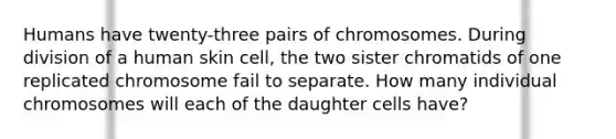 Humans have twenty-three pairs of chromosomes. During division of a human skin cell, the two sister chromatids of one replicated chromosome fail to separate. How many individual chromosomes will each of the daughter cells have?