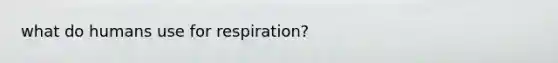 what do humans use for respiration?