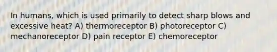 In humans, which is used primarily to detect sharp blows and excessive heat? A) thermoreceptor B) photoreceptor C) mechanoreceptor D) pain receptor E) chemoreceptor