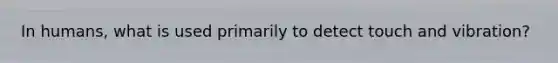In humans, what is used primarily to detect touch and vibration?