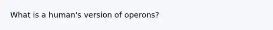 What is a human's version of operons?