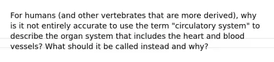 For humans (and other vertebrates that are more derived), why is it not entirely accurate to use the term "circulatory system" to describe the organ system that includes the heart and blood vessels? What should it be called instead and why?