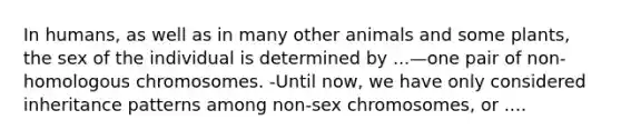 In humans, as well as in many other animals and some plants, the sex of the individual is determined by ...—one pair of non-homologous chromosomes. -Until now, we have only considered inheritance patterns among non-sex chromosomes, or ....