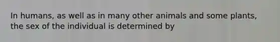 In humans, as well as in many other animals and some plants, the sex of the individual is determined by