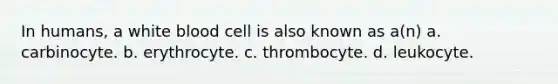 In humans, a white blood cell is also known as a(n) a. carbinocyte. b. erythrocyte. c. thrombocyte. d. leukocyte.