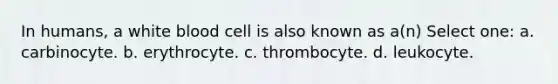 In humans, a white blood cell is also known as a(n) Select one: a. carbinocyte. b. erythrocyte. c. thrombocyte. d. leukocyte.