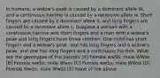 In humans, a widow's peak is caused by a dominant allele W, and a continuous hairline is caused by a recessive allele w. Short fingers are caused by a dominant allele S, and long fingers are caused by a recessive allele s. Suppose a woman with a continuous hairline and short fingers and a man with a widow's peak and long fingers have three children. One child has short fingers and a widow's peak, one has long fingers and a widow's peak, and one has long fingers and a continuous hairline. What are the genotypes of the parents [A] Female wwSS; male WWss [B] Female wwSs; male Wwss [C] Female wwSs; male WWss [D] Female WwSs; male WwSs [E] None of the above