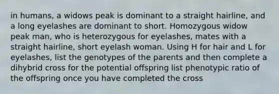 in humans, a widows peak is dominant to a straight hairline, and a long eyelashes are dominant to short. Homozygous widow peak man, who is heterozygous for eyelashes, mates with a straight hairline, short eyelash woman. Using H for hair and L for eyelashes, list the genotypes of the parents and then complete a dihybrid cross for the potential offspring list phenotypic ratio of the offspring once you have completed the cross