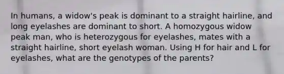 In humans, a widow's peak is dominant to a straight hairline, and long eyelashes are dominant to short. A homozygous widow peak man, who is heterozygous for eyelashes, mates with a straight hairline, short eyelash woman. Using H for hair and L for eyelashes, what are the genotypes of the parents?