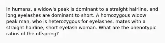 In humans, a widow's peak is dominant to a straight hairline, and long eyelashes are dominant to short. A homozygous widow peak man, who is heterozygous for eyelashes, mates with a straight hairline, short eyelash woman. What are the phenotypic ratios of the offspring?