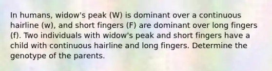 In humans, widow's peak (W) is dominant over a continuous hairline (w), and short fingers (F) are dominant over long fingers (f). Two individuals with widow's peak and short fingers have a child with continuous hairline and long fingers. Determine the genotype of the parents.