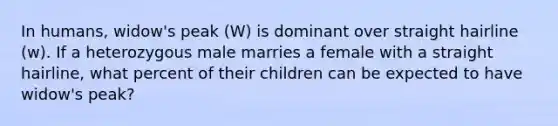 In humans, widow's peak (W) is dominant over straight hairline (w). If a heterozygous male marries a female with a straight hairline, what percent of their children can be expected to have widow's peak?