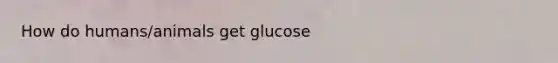 How do humans/animals get glucose