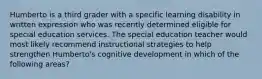 Humberto is a third grader with a specific learning disability in written expression who was recently determined eligible for special education services. The special education teacher would most likely recommend instructional strategies to help strengthen Humberto's cognitive development in which of the following areas?